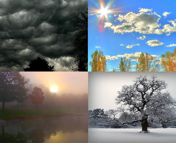 17 Techniques for Creating Designs Inspired by Nature Nature's Moods