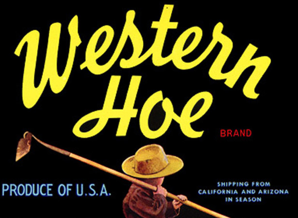 50 Examples of Vintage Typography Typography Post Image
