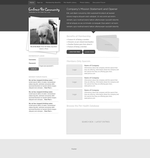 Using Wireframes to Streamline Your Development Process 6 102