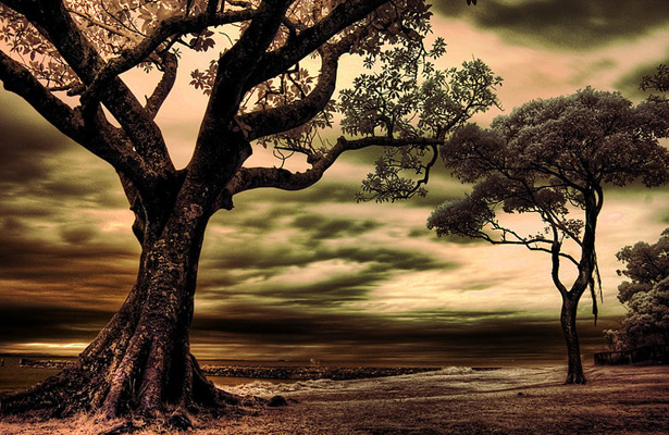 Wallpaper Post Image