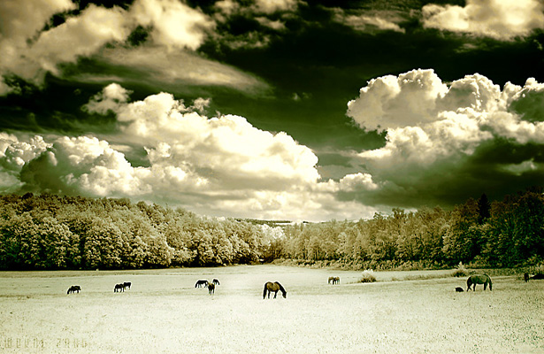 Wallpaper Post Image