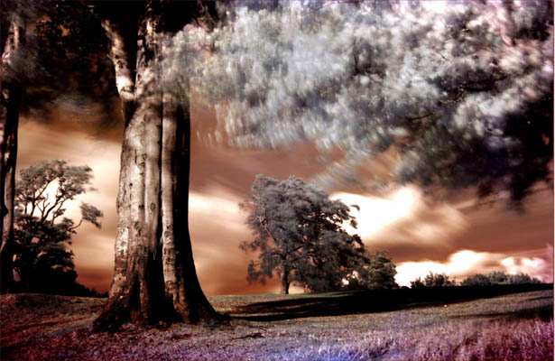 Wallpaper Post Image
