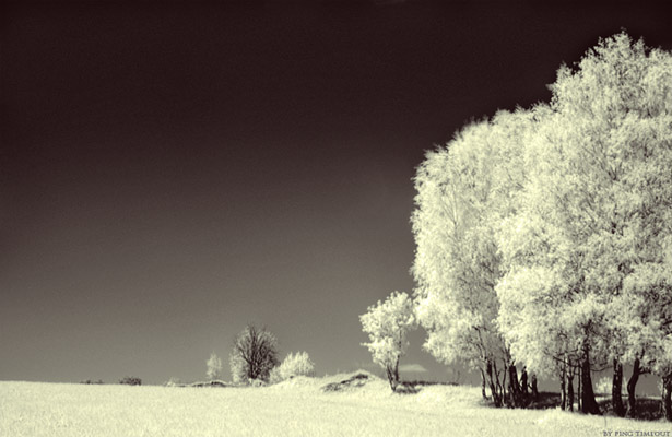 Wallpaper Post Image