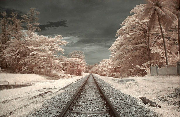 Wallpaper Post Image