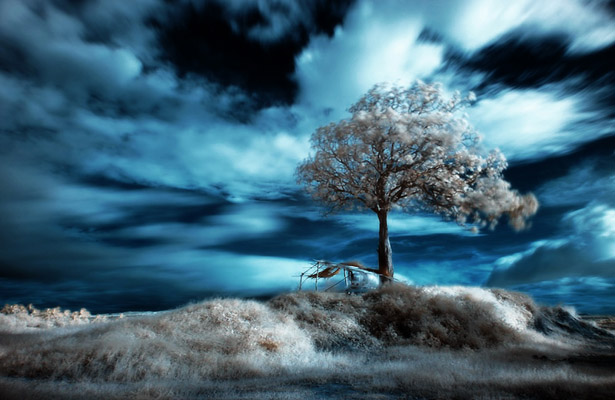 Wallpaper Post Image