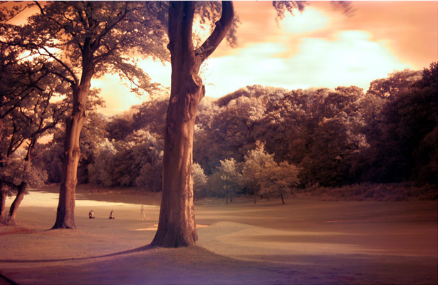 Wallpaper Post Image