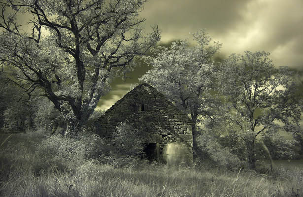 Wallpaper Post Image