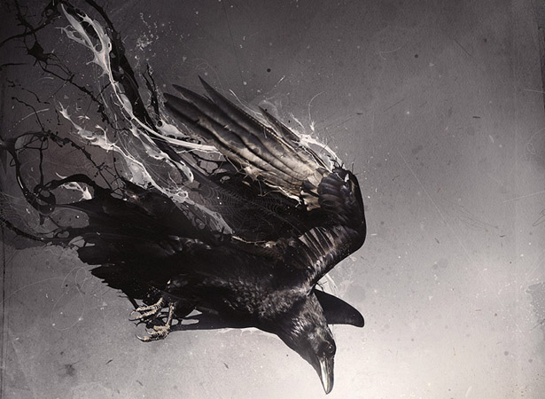40 Examples of Incredible Photo Manipulation Manipulation Image