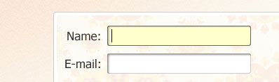 10 Tips to Create a More Usable Web a focused form element