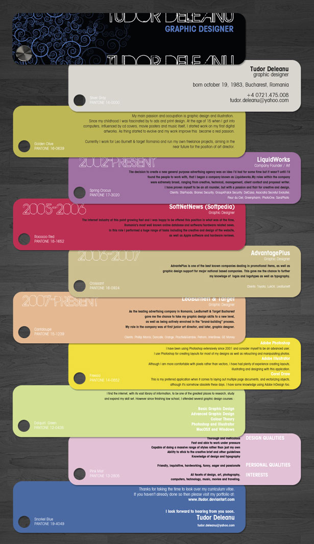 30 Artistic and Creative Résumés 6 108