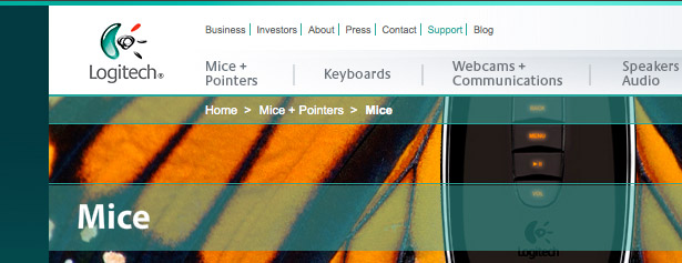 9 Tips For Brand Building With Web Design Logitech