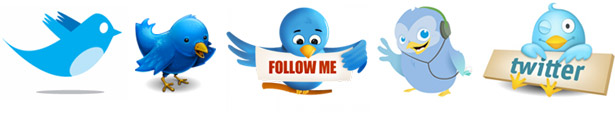 9 Tips For Brand Building With Web Design Twitter Birds