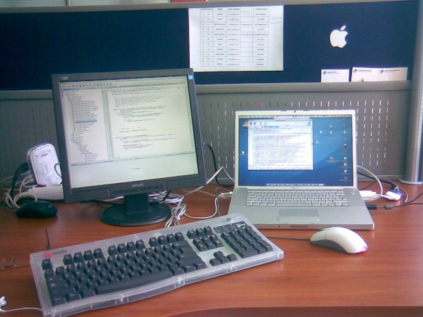 Advantages and Disadvantages of Working with Multiple Screens 7 117