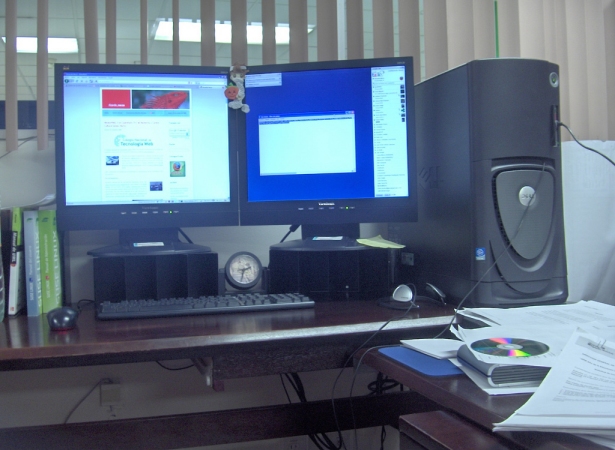 Advantages and Disadvantages of Working with Multiple Screens 9 112
