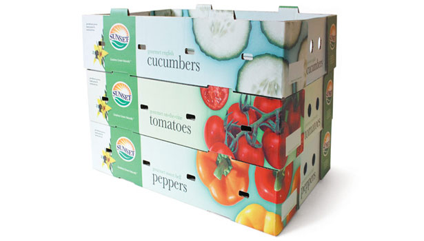 50 Beautiful and Effective Package Designs Shot