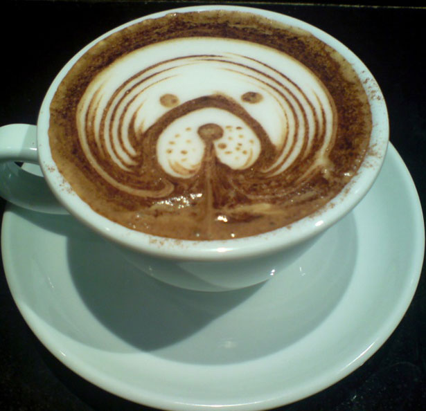 50 Beautifully Delicious Coffee Designs 84 2
