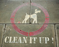 Why Does Clean Markup Matter in Web Design?