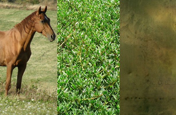 photoshop_challenge photoshop_challenge