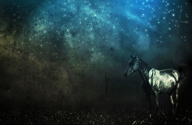 horse horse