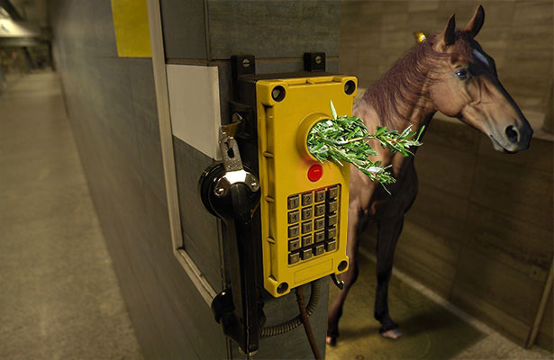 23 51