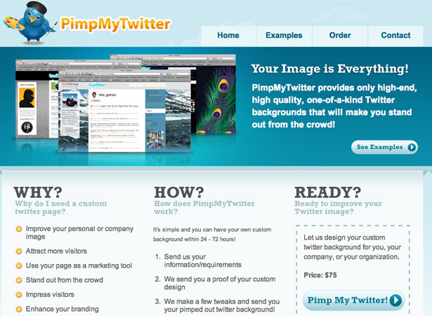 50 Excellent Corporate Website Designs pimpmytwitter
