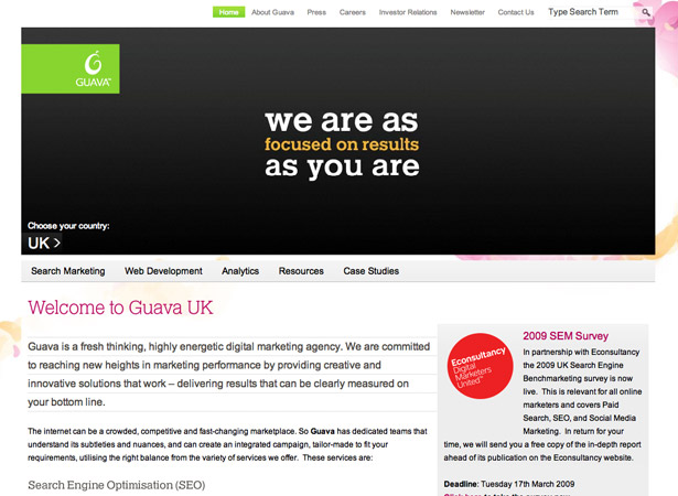 50 Excellent Corporate Website Designs guava