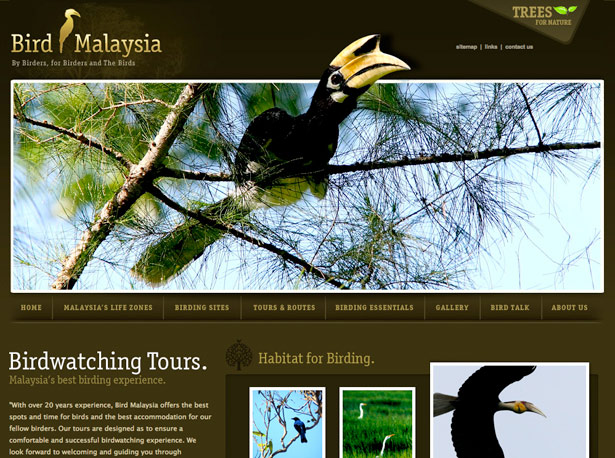 50 Monochromatic Website Designs Bird of Malaysia
