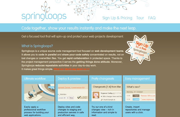 14 Applications for Project Management and Collaboration springloops