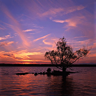 How To Sell Stock Photos - Part 2 Rivertree thirds md