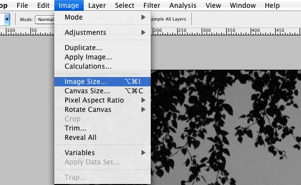 How To Sell Stock Photos - Part 2 Reduce Resolution 1