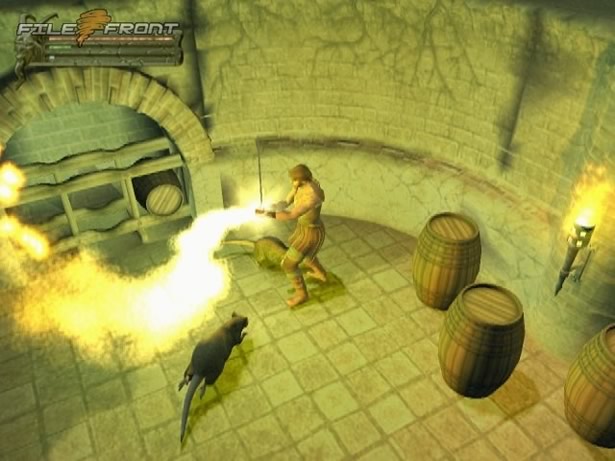 Video Game Design Between 1990-2008 Baldurs Gate Dark Alliance 2002
