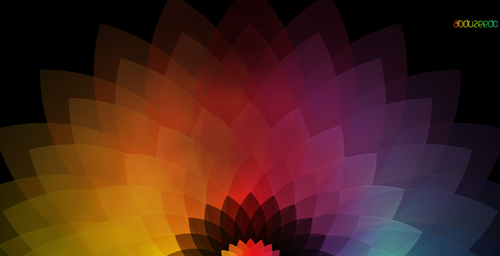 40 Wallpapers loaded with color 221 1