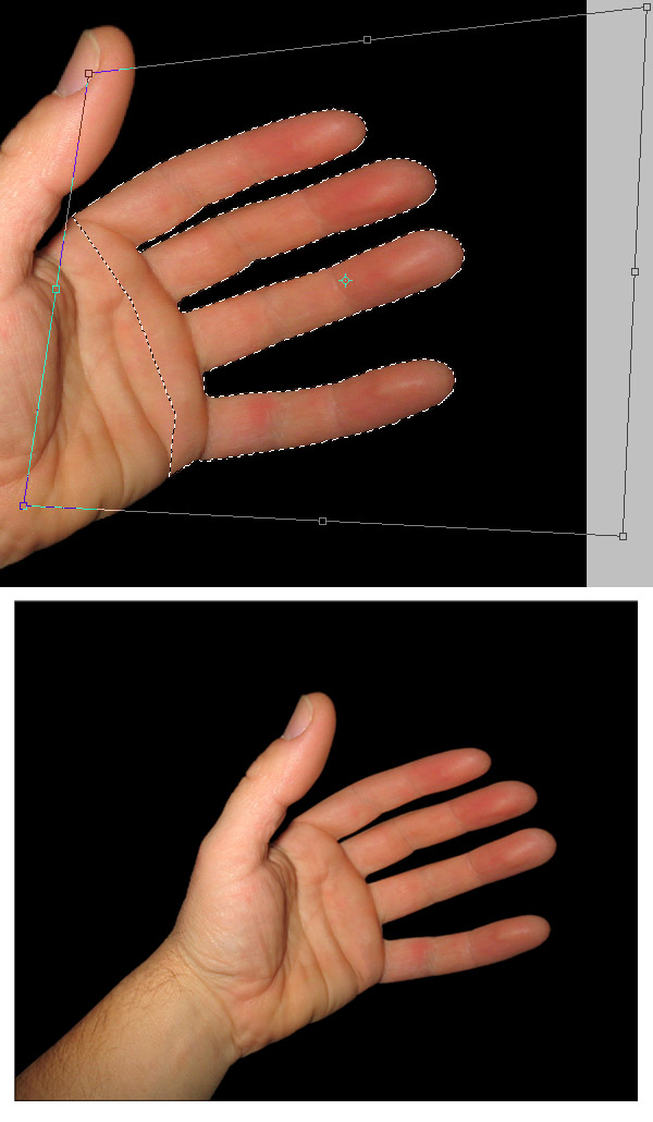 Peeling a Hand in Photoshop hand 4