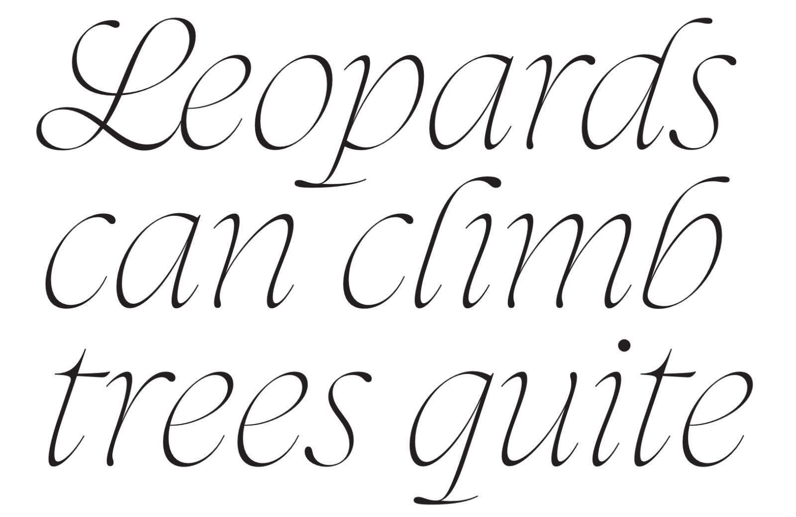15 Best New Fonts, October 2023 Leopardo