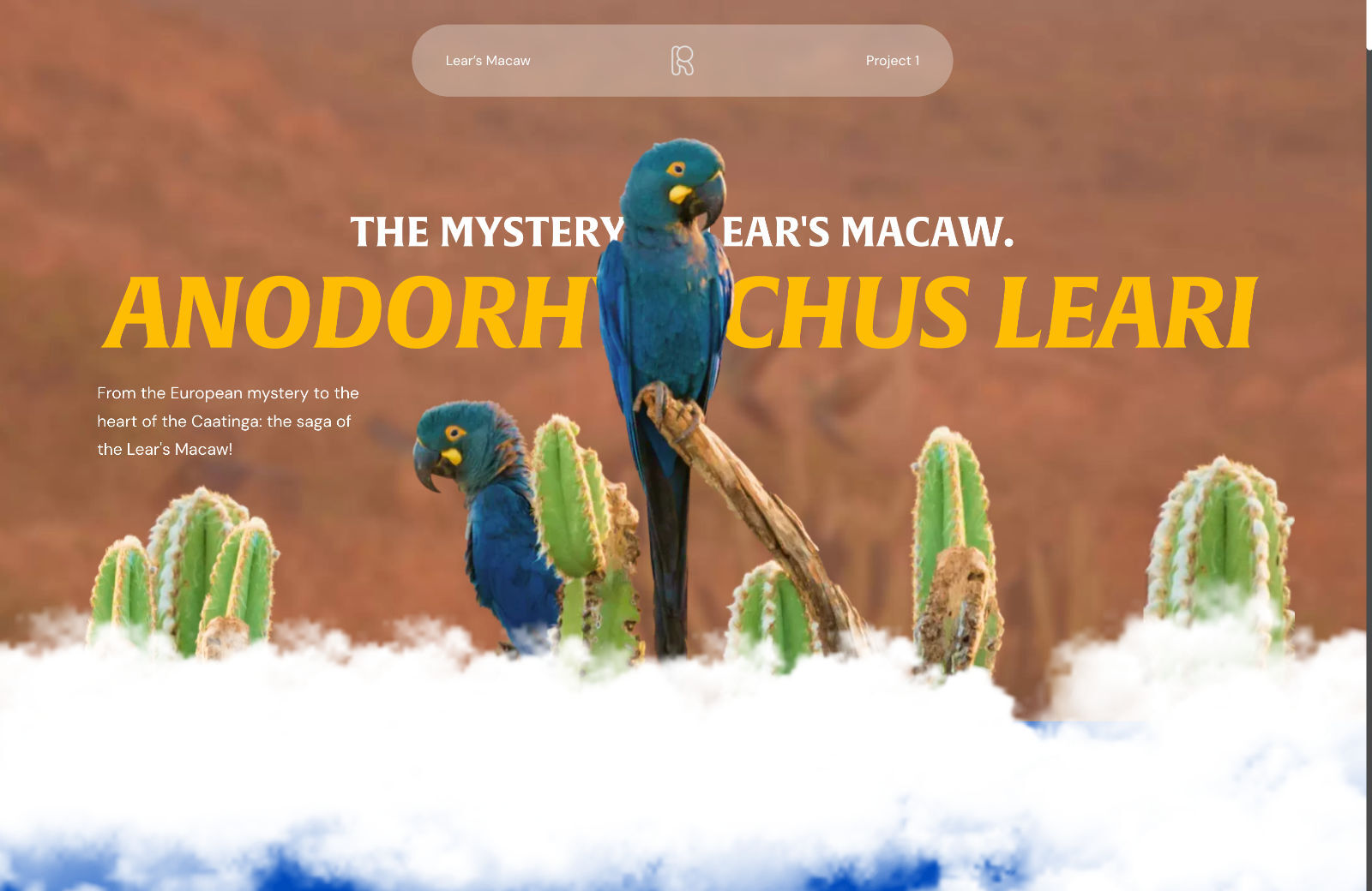 20 Best New Websites, October 2023 The Mystery of Lear’s Macaw