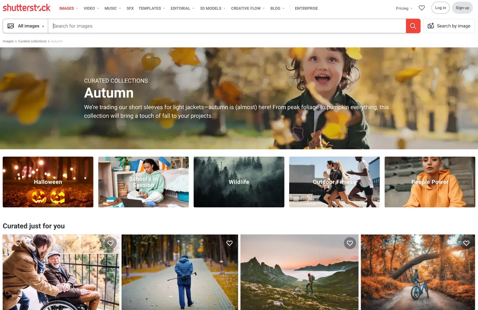 Exciting New Tools for Designers, October 2023 Shutterstock Autumn Collection