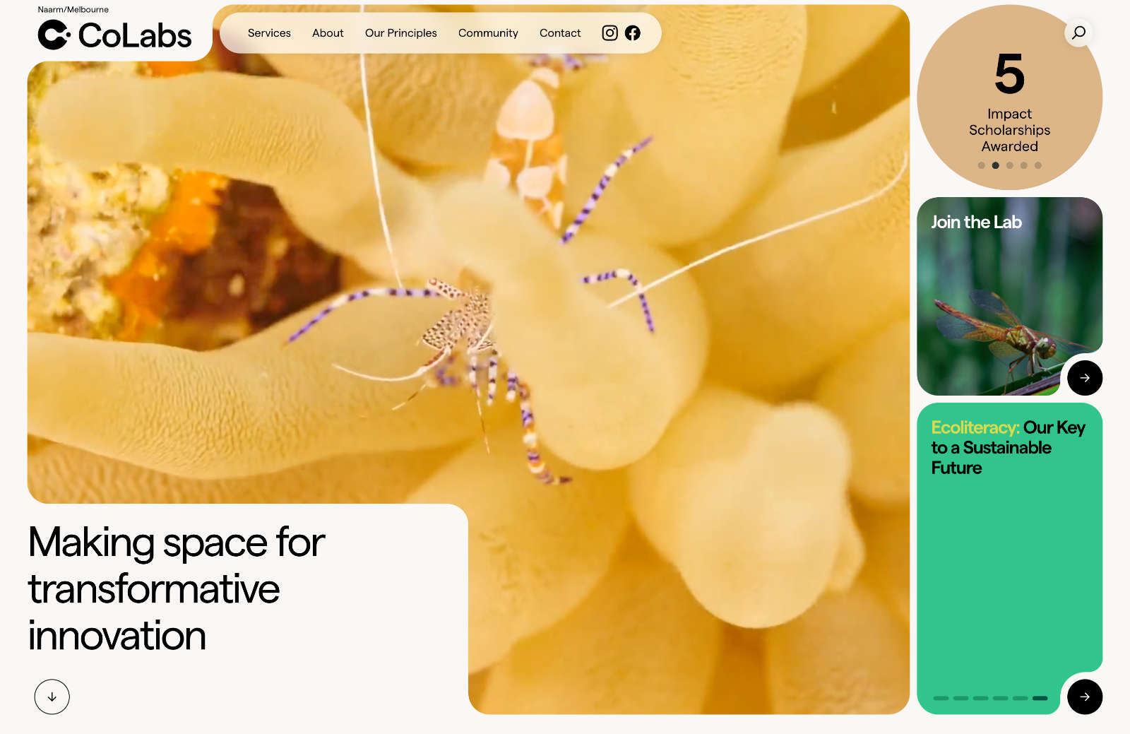 20 Best New Websites, September 2023 CoLabs