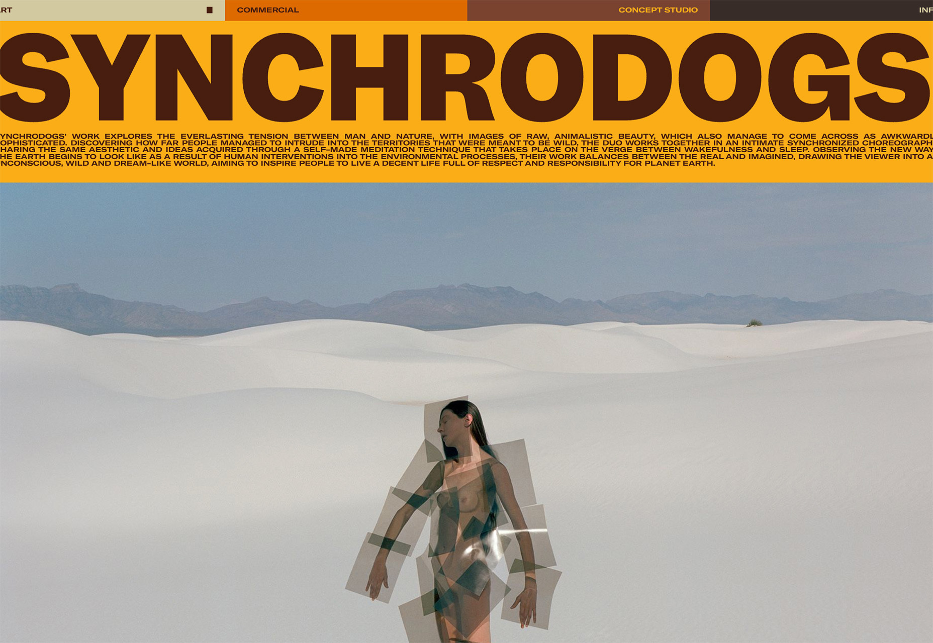 3 Essential Design Trends, September 2023 Synchrodogs