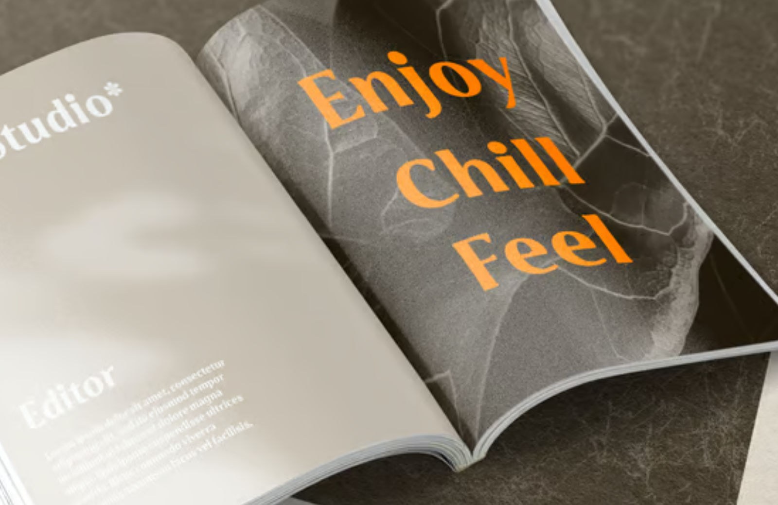 15 Best New Fonts, March 2023 MC Belotra
