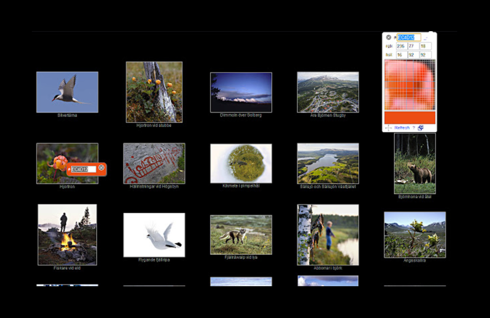 30 Amazing Chrome Extensions for Designers and Developers ColorPick Eyedropper