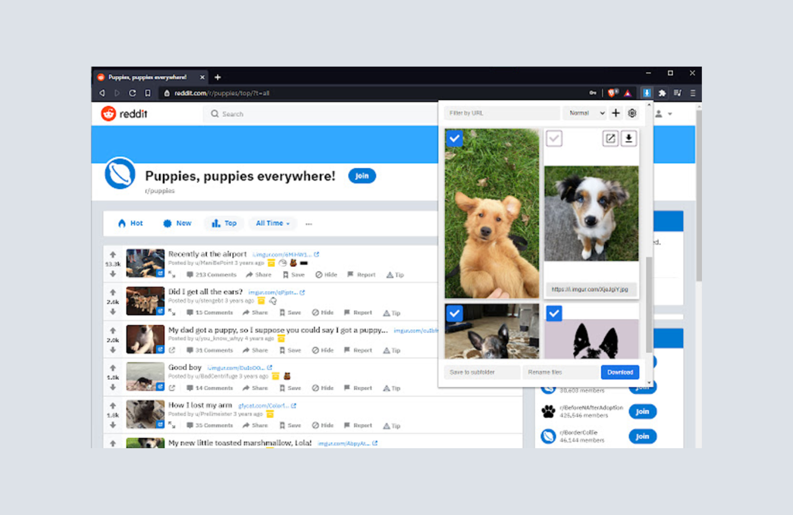 30 Amazing Chrome Extensions for Designers and Developers Image Downloader