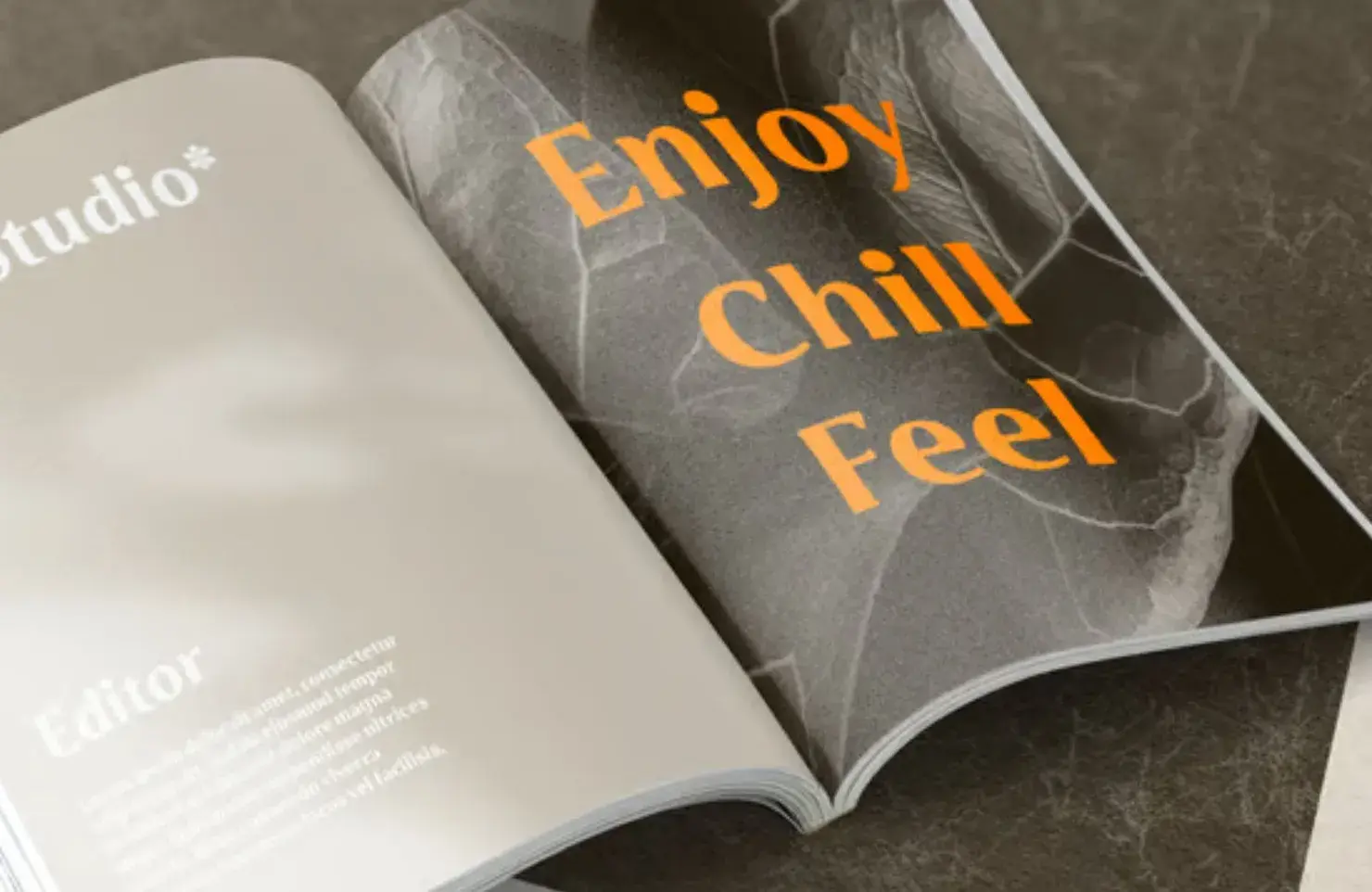 30 Best Fonts of 2023 02 belotra