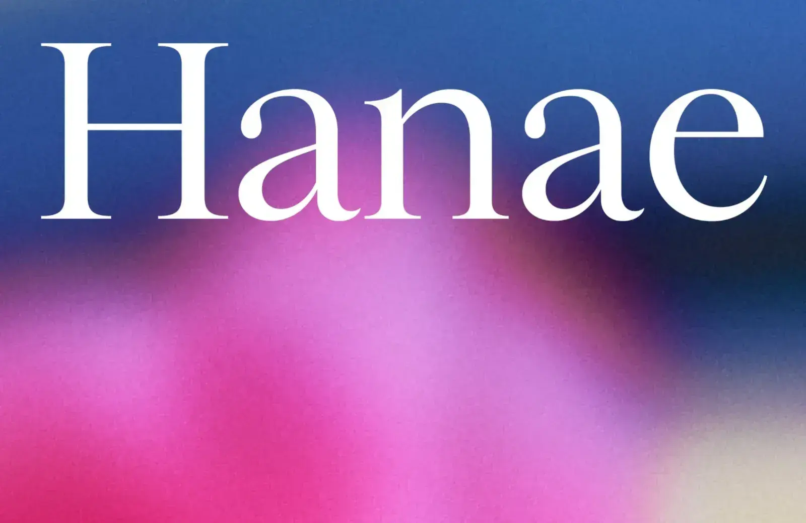 30 Best Fonts of 2023 03 hanae