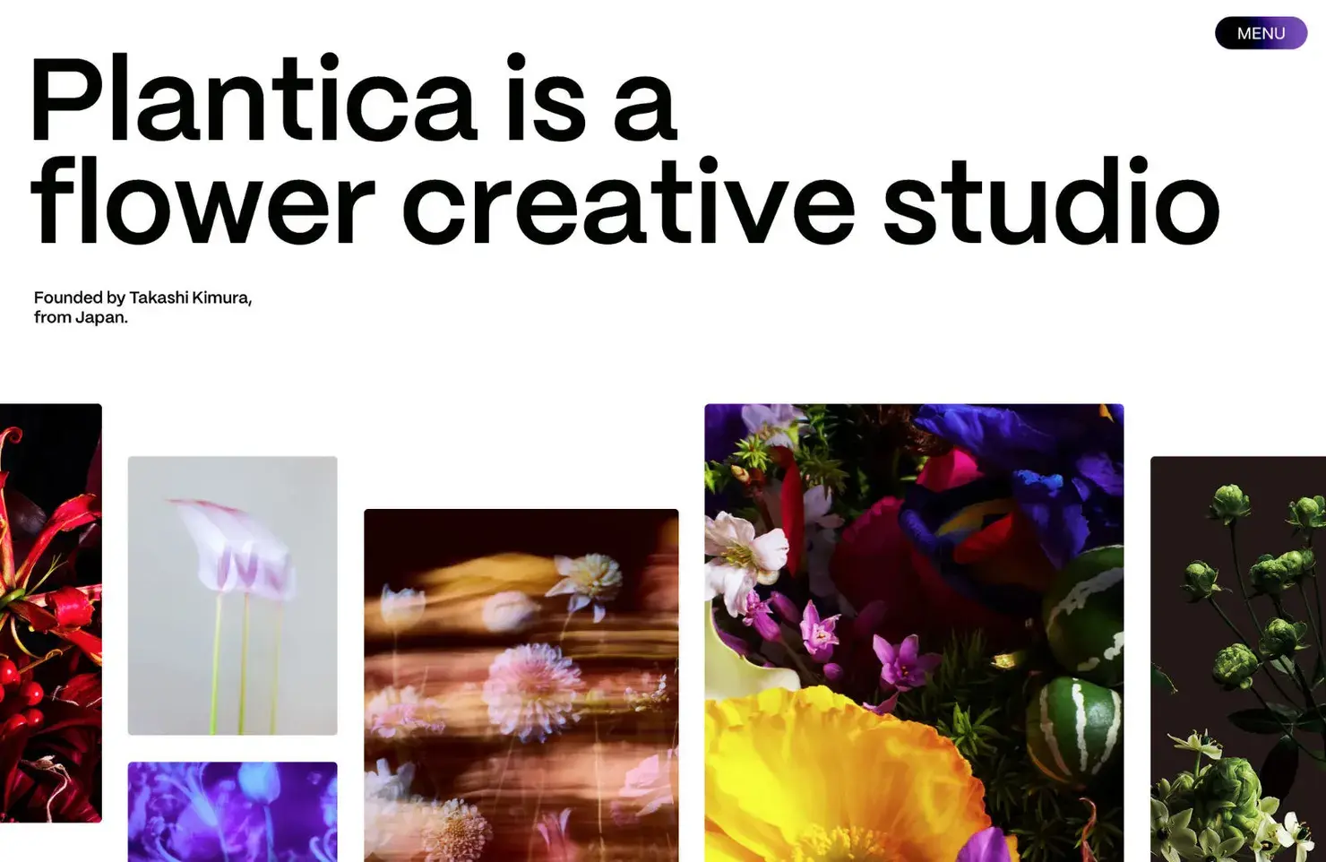 40 Best New Websites, 2023 08 plantica