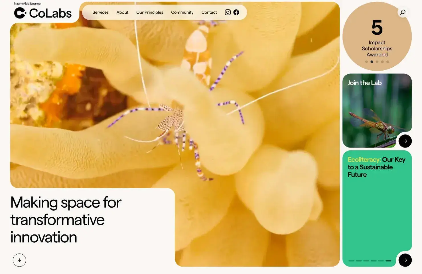 40 Best New Websites, 2023 09 colabs