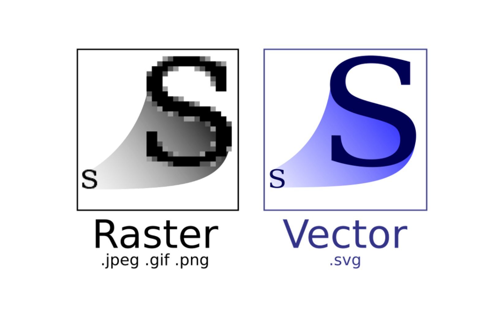 Everything You Need to Know About Image Formats In 2025 Vector