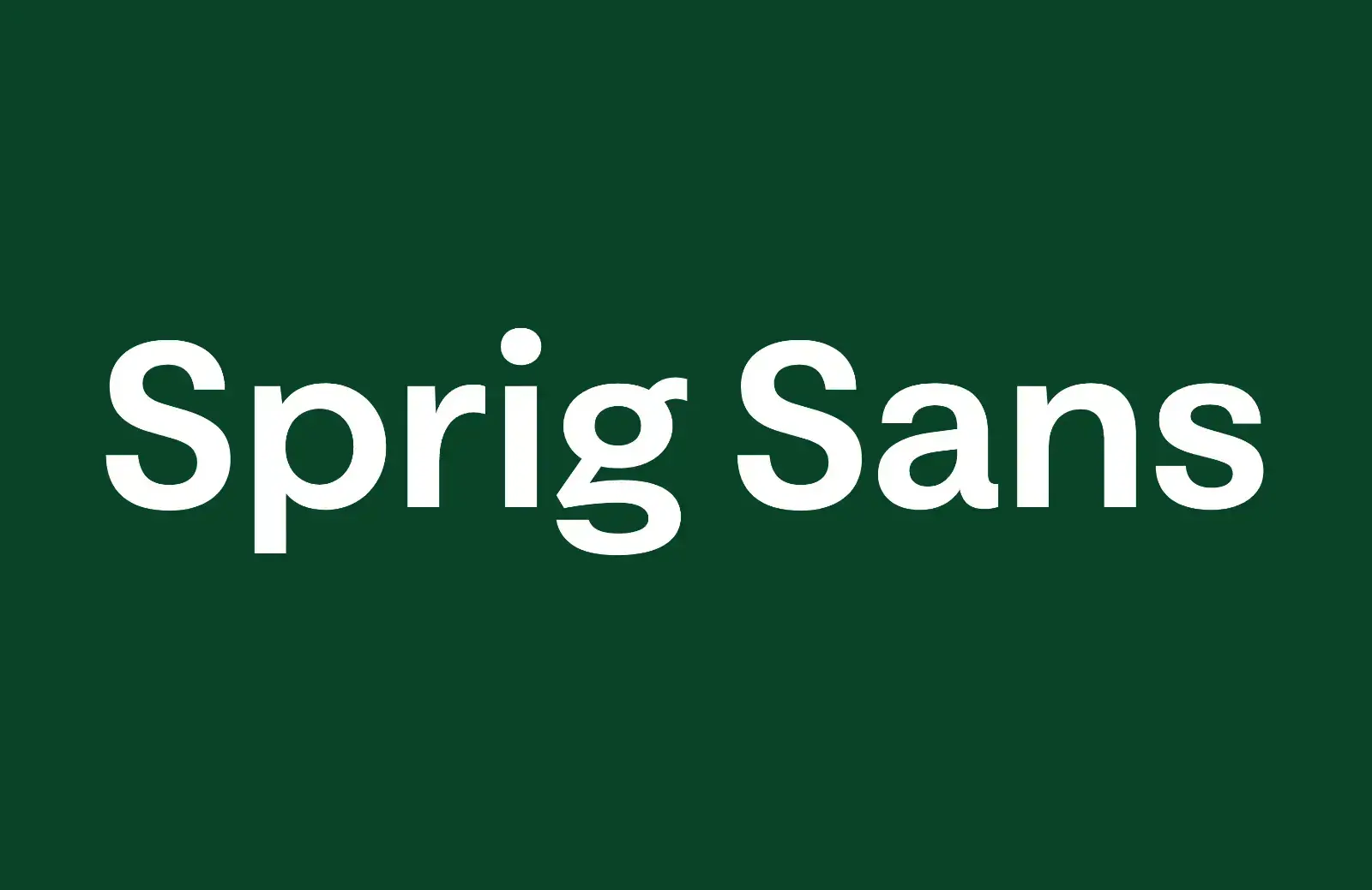 30 Best Fonts of 2023 26 sprig