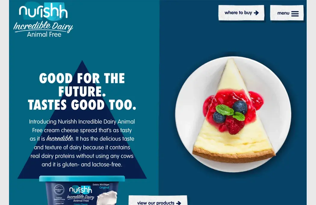 10 Best Web Design Trends of 2023 nurishh trend 1
