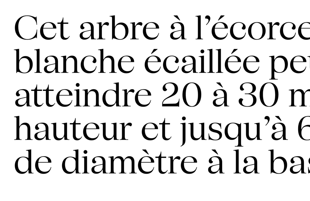 15 Best New Fonts, January 2024 05 schrifteria