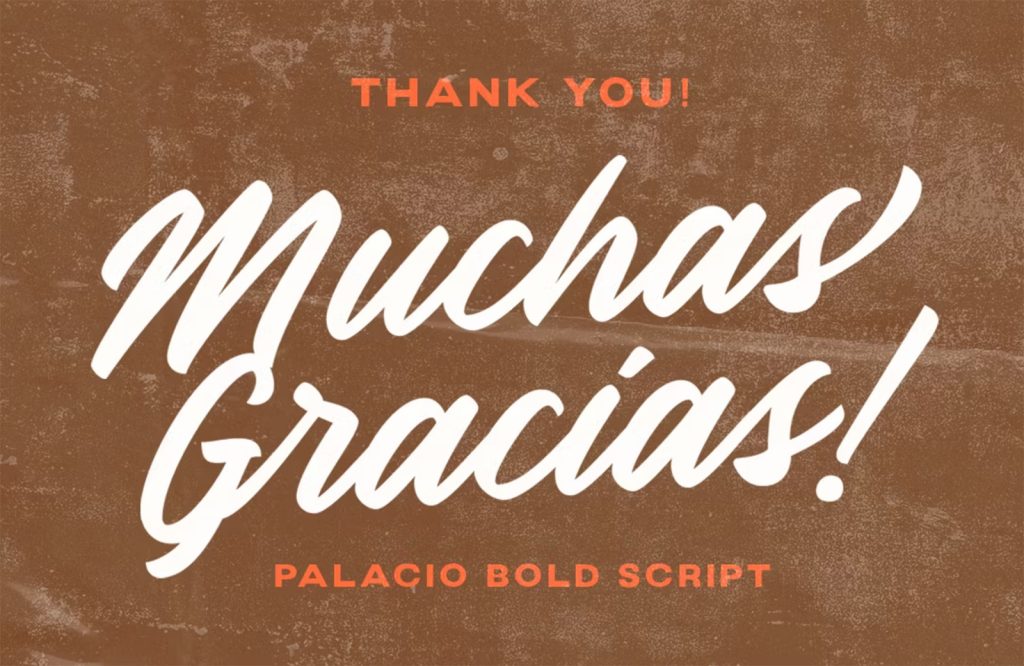 15 Best New Fonts, January 2024 06 palacio